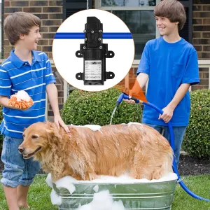 12V Water Pump with 2 Hose Clamps 123PSI Self Priming Sprayer Pump