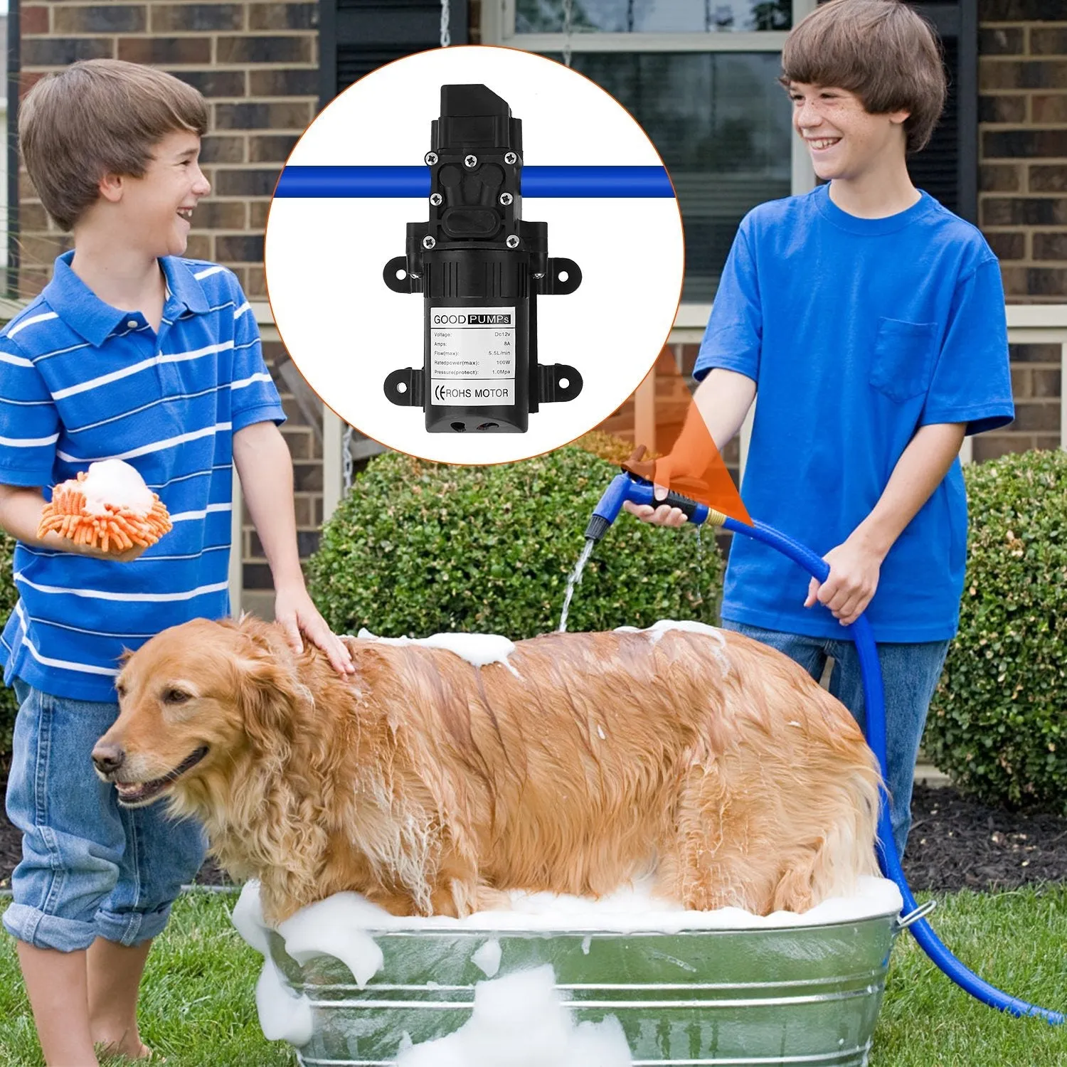 12V Water Pump with 2 Hose Clamps 123PSI Self Priming Sprayer Pump