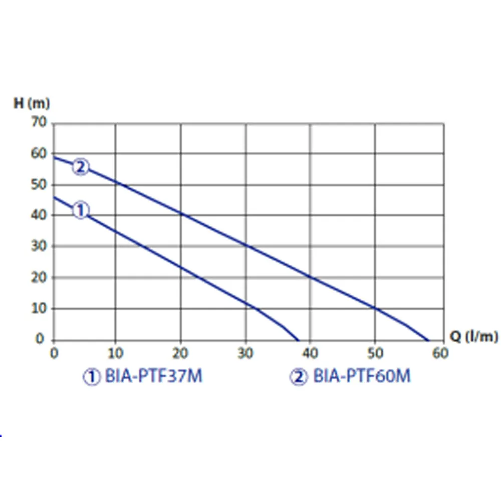 Bianco Peripheral Turbine Pressure Pump