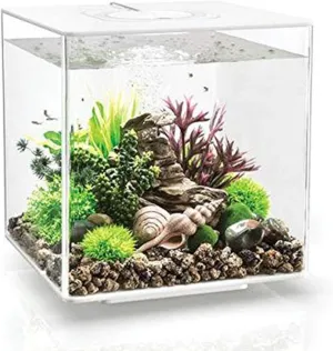 biOrb Cube 30 Aquarium with LED - 8 Gallon, White