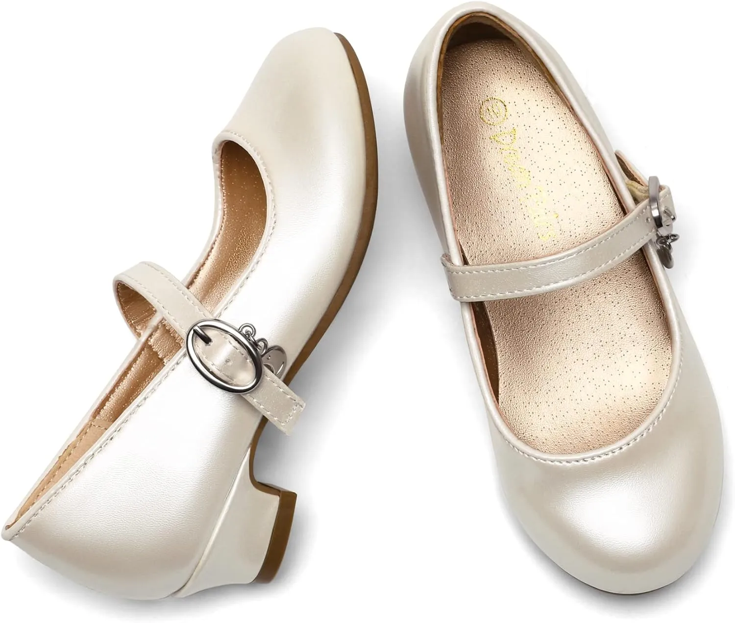 DREAM PAIRS Girls Mary Jane Low Heel Princess Flower Wedding Party Pump Dress Shoes