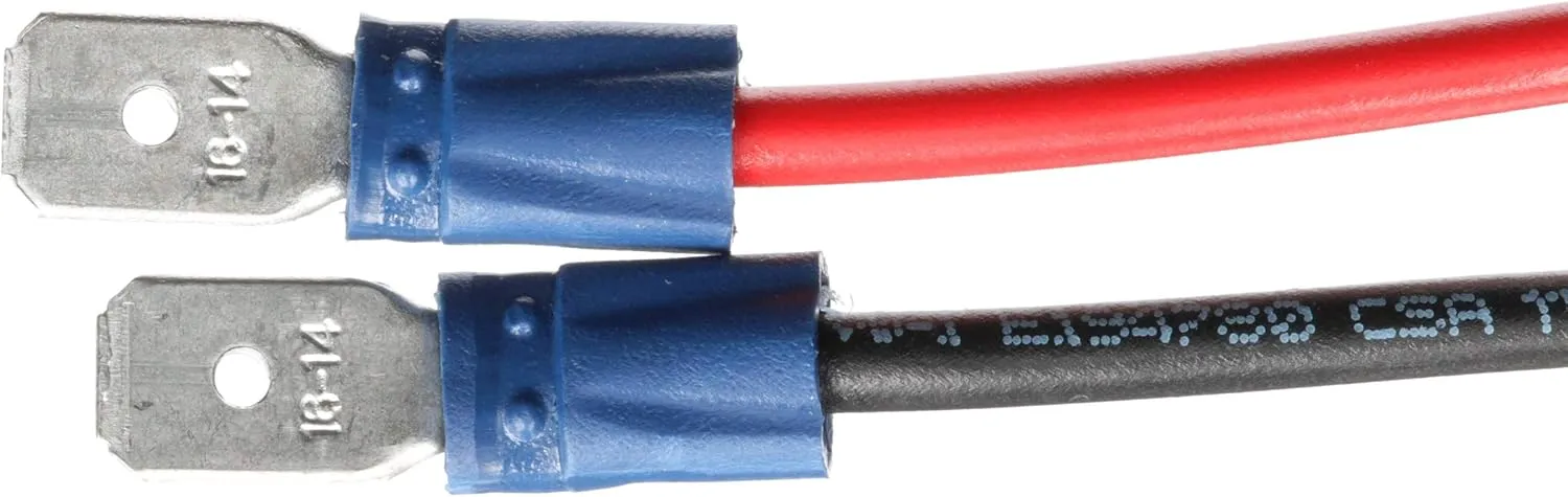 Gulper Grouper Pump - Fishbox Discharge Pump