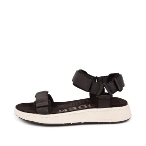 Line - Black