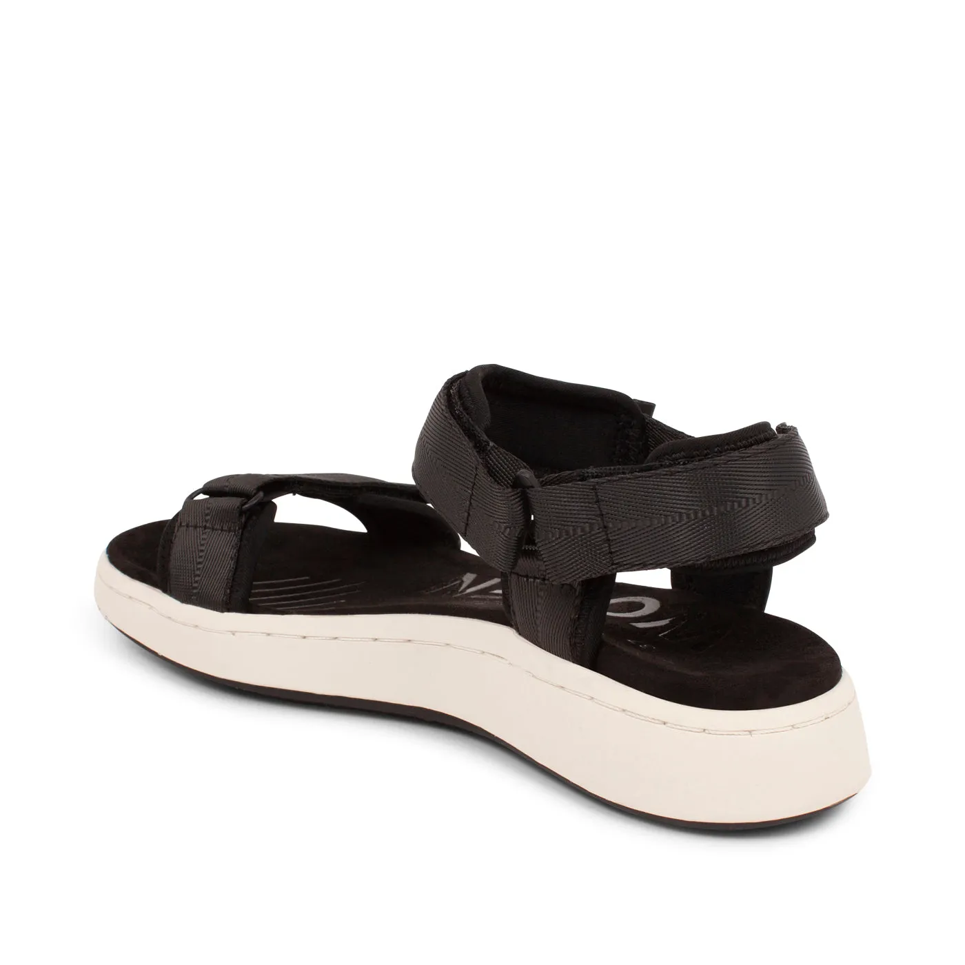 Line - Black