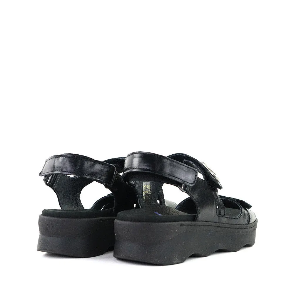 Medusa Black