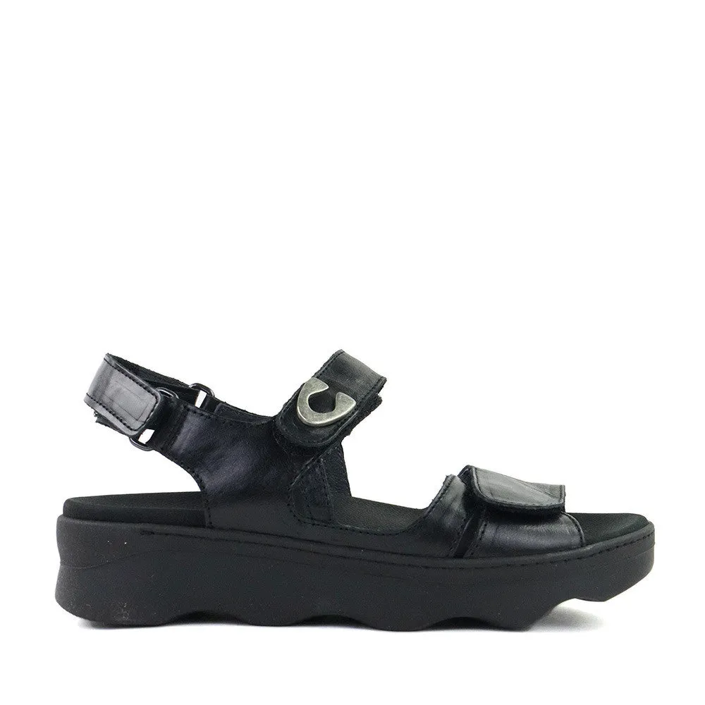 Medusa Black