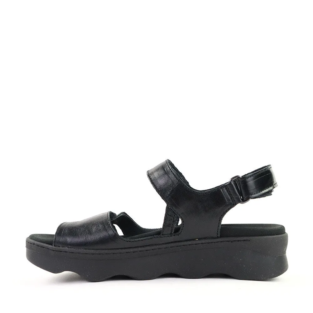 Medusa Black