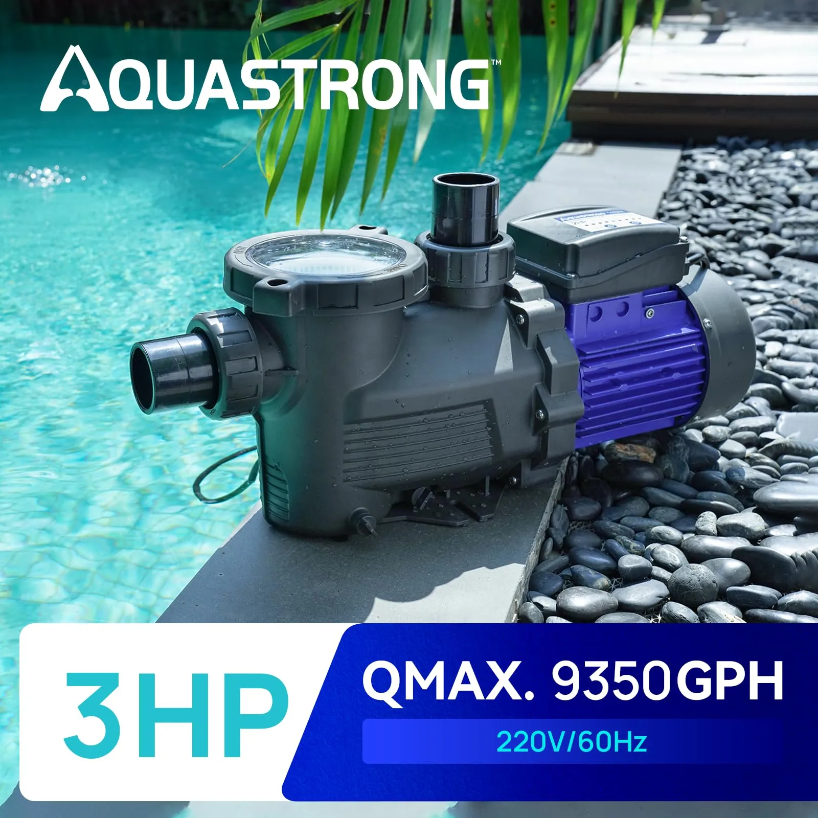 PSP300T-HV 3 HP 220V Pool Pump with Timer, 9350GPH