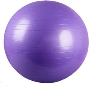 Wolf's Fit- Yoga Ball Exercise Ball for Working Out, Birthing Ball, Pregnancy Ball, 65 cm Exercise Ball, Anti-Burst and Slip Resistant with Quick Foot Pump.